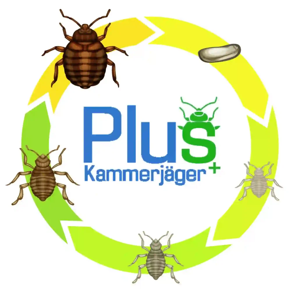 Bettwanzenbekämpfung