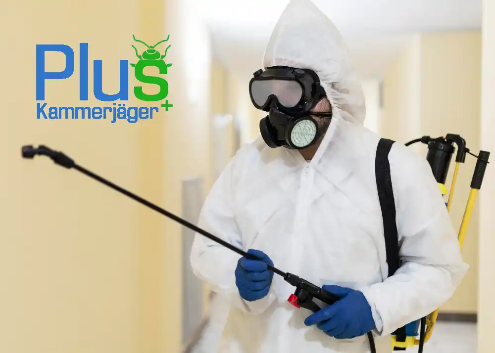 Präventive Maßnahmen – Kammerjäger Plus informiert